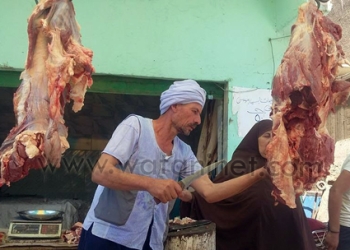 بالصور : شوادر لبيع اللحوم في بني سويف