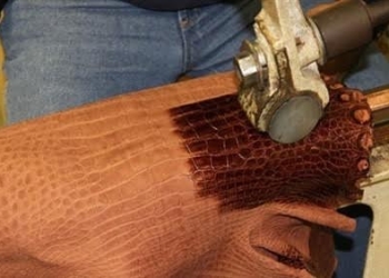 خبير اقتصادي: “الروبيكى” و”مدينة الأثاث” بداية لتجميع الحرف وإدخالها للاقتصاد الرسمي