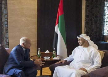 نائب قائد القوات المسلحة الإماراتي يلتقي أحمد أبو الغيط بأبو ظبي