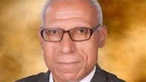 “كامل السيد : التجربة الصينية هى العلاج الأمثل لإقتصادنا “