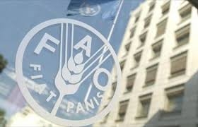 انتخاب مصر لرئاسة لجنة مشكلات السلع بالفاو