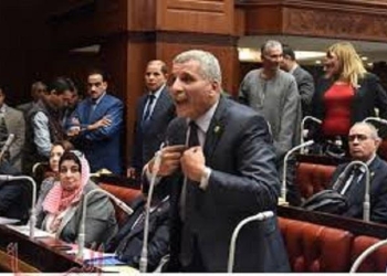 عبد الفتاح: لجنة القوى العاملة ستنظر فى قانون الخدمة المدنية