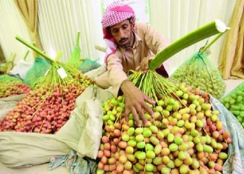 مصر تشيد بدور الإمارات فى نجاح مهرجان التمور 