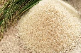 وزير التموين يطالب شعبة الأرز بتقديم أسعار مناسبة للمناقصة 