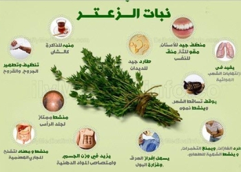 كيف تقلل أمراض الجهاز التنفسي في الشتاء ؟   