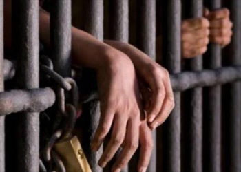 عابد:لجنة حقوق الانسان تلقت 386 طلبا حتى الآن للإفراج عن الشباب