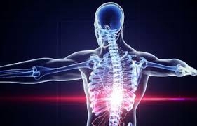 تعرف على 12 جزءا من جسم الإنسان يمكن العيش من دونها