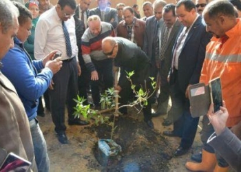 “حب شبرا الخيمة” تطلق حملة لتشجير المدارس شجرة فى مدرستى 