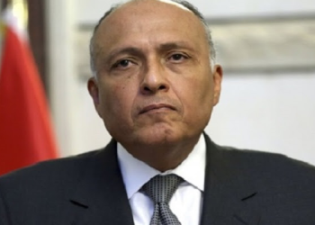 مصر تؤكد أهمية الارتقاء بوضع المهاجرين في العالم