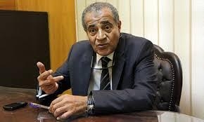 المصيلحى: الأقتصاد الغير رسمى يمثل70% من الدخل الاجمالى 