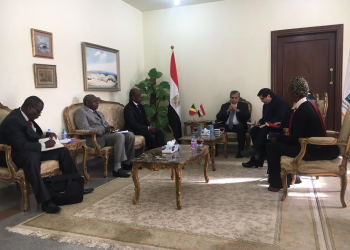وزير البيئة يلتقي بوزير الزراعة بالكونغو لبحث سبل التعاون