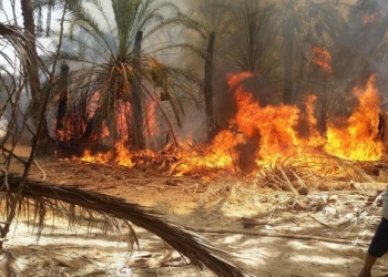 السيطرة على حريق بجوار معبد هيبس