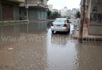 “دمنهور” تتحول إلى برك ومستنقعات بسبب الأمطار الغزيرة