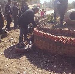 تشجير وتجميل قرية مرصفا ببنها