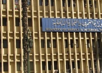التموين توفر كميات إضافية من الدواجن قبل رمضان