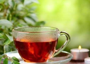 علماء ألمان يكشفون عن أكياس الشاي المضرة بالصحة