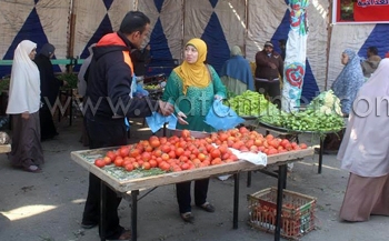 بيع الدواجن الحية ب 27 جنية ببني سويف 