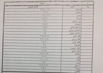 بالصور: تعرف علي الأسعار الاسترشادية للخضر