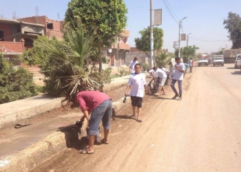 مجلس مدينه ابشواي يشن حملة نظافة بالطريق السياحي بالفيوم