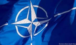 اعتماد سفارة بلجيكا بالقاهرة كنقطة اتصال لحلف الناتو