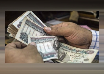 “الديب”: علاوة الموظفين يجب ألا تقل عن 30 %
