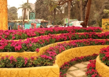 أمومة الطبيعة فى معرض زهور الربيع