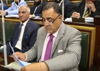 النائب إلهامى عجينة،