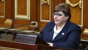 برلمانية تطالب بإستغلال موقع الترع المغطاة لإقامة مشروعات صغيرة للشباب
