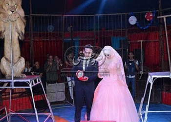 بالصور.. حفل خطوبة لعروسين داخل قفص الأسود ببورسعيد