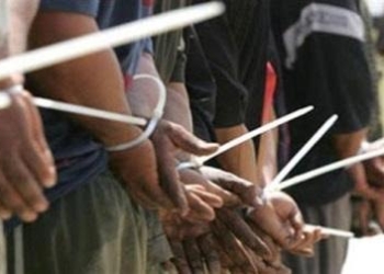 القبض على 13 متهم فى حملة أمنية بالقليوبية