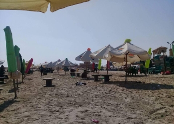 حملة نظافة موسعة بشواطئ بورسعيد