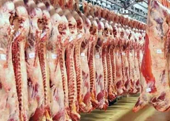 غرفة القاهرة التجارية: زيادة في أسعار الحبوب والبقوليات واللحوم والدواجن والاسماك