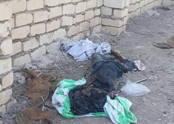 " وطنى " تكشف تفاصيل مقتل طفلة "المرج"