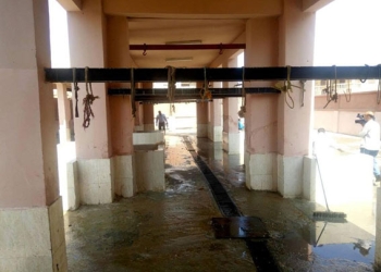 مجزر
