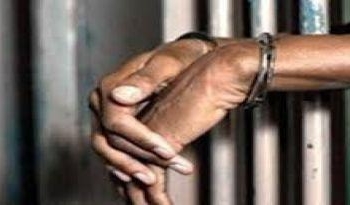 ضبط 1000 هارب و68 بلطجي و3 قطع سلاح فى حملة أمنية بالقليوبية