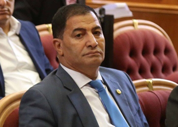 البدرى أحمد ضيف