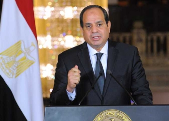 السيسي: الهدف من ضرب مصر إنها ما تقومش تاني