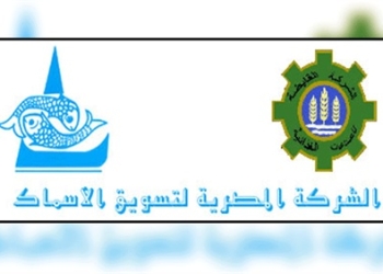 التموين: طرح أسماك بالأسواق لمنع انفلات الأسعار
