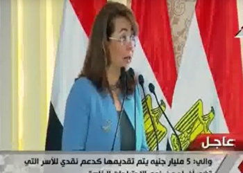 غادة والي: 100 مليون جنيه لدعم برنامج “مستورة” لحماية السيدات