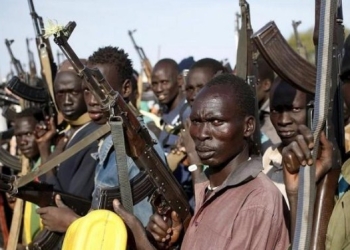 مشروع قرار دولي يهدد بحظر بيع الأسلحة الى جنوب السودان