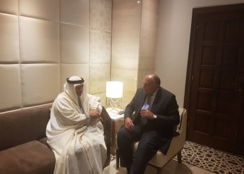 شكري يعقد مباحثات ثنائية مع نظيره الإماراتي