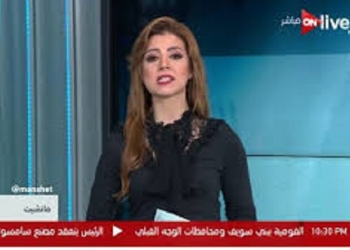 نائب رئيس الوطنية للانتخابات: جميع المصريون بالخارج لهم حق التصويت وبالرقم القومي