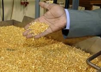 شحن ٣٨٢ كيلو جرام ذهب خام إلى كندا لتنقيتها