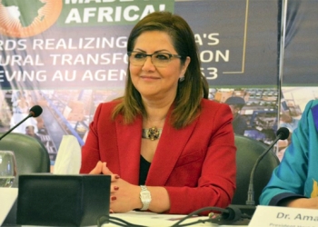 "التخطيط": الحكومة رصدت 4.8 مليار جنيه لترفيق المناطق الاقتصادية