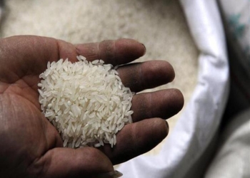 90% عجز بالأرز التمويني بالقاهرة والمحافظات