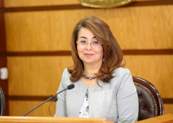 20 منحة من وزارة التضامن لأبناء دور الرعاية للتعليم الفني