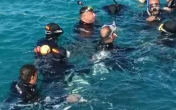 غرق “عربجي” ونجاة حصانه من الغرق ترعة الإسماعيلية بالخانكة