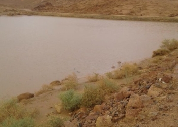 سيول سانت كاترين.. التحول من سيول دمار إلى سيول خير تنعش الوديان