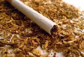 احذر.. النيكوتين قد يضر بك وبأسرتك حتى الجيل الثانى