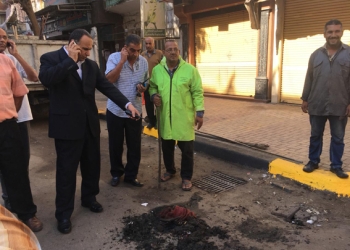 "قنصوة" يكلف السكرتير المساعد بقيادة مبادرة "يوم في حب الإسكندرية" بحي غرب